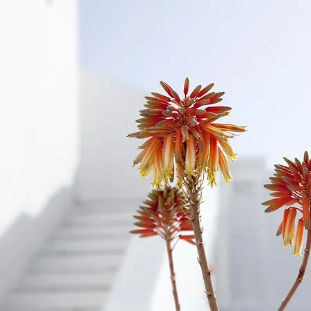 Hotell La Mykonos
