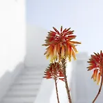 ホテル La Mykonos